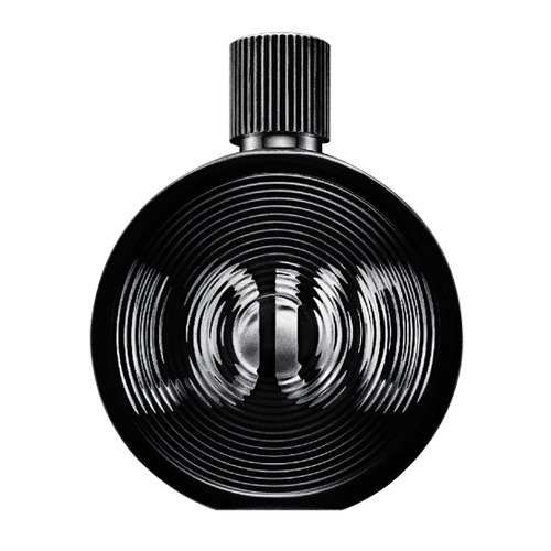 Loud For Him Masculino Eau De Toilette 40 Ml - Frete Grátis
